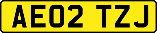 AE02TZJ