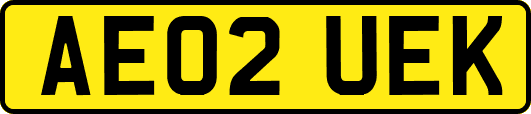 AE02UEK