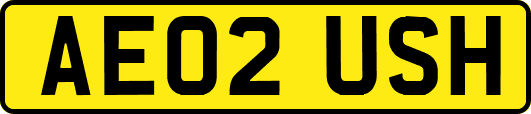 AE02USH