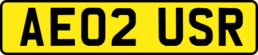 AE02USR