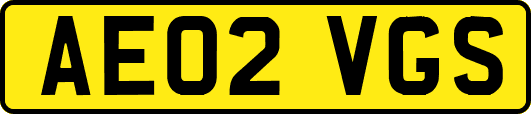 AE02VGS