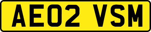 AE02VSM