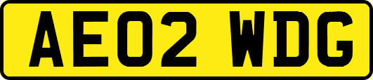AE02WDG