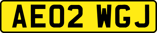 AE02WGJ