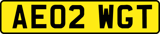 AE02WGT