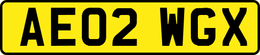 AE02WGX