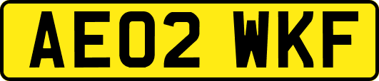 AE02WKF