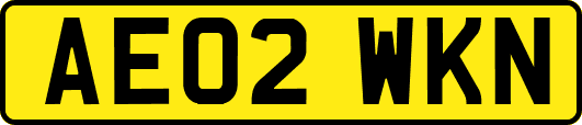 AE02WKN