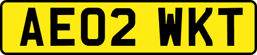 AE02WKT