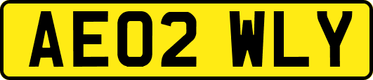 AE02WLY