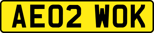 AE02WOK