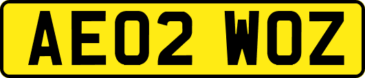 AE02WOZ