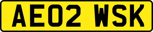 AE02WSK