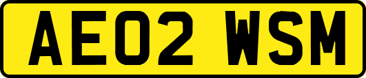AE02WSM