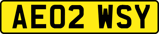 AE02WSY