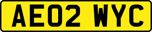 AE02WYC