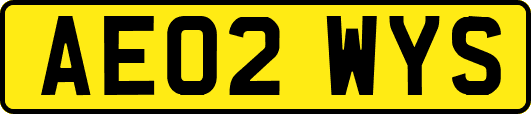 AE02WYS