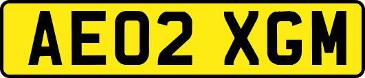 AE02XGM