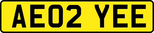 AE02YEE