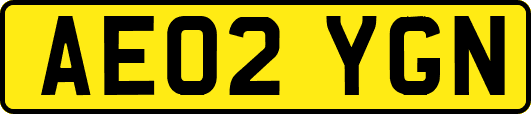 AE02YGN