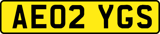 AE02YGS
