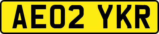 AE02YKR