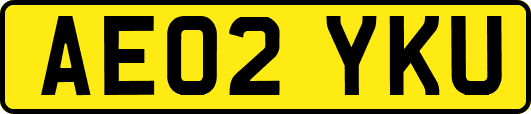 AE02YKU