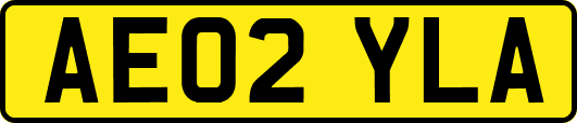 AE02YLA