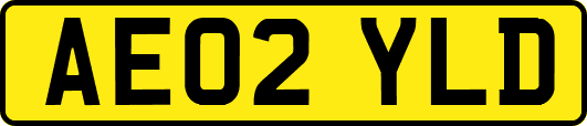 AE02YLD