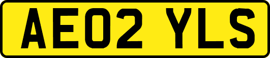 AE02YLS