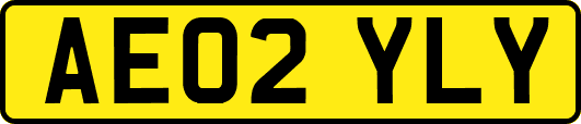AE02YLY