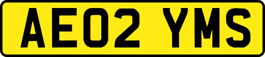 AE02YMS