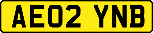 AE02YNB