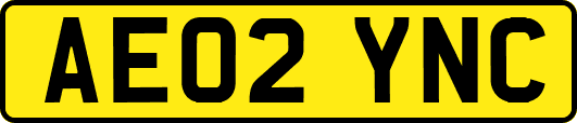 AE02YNC