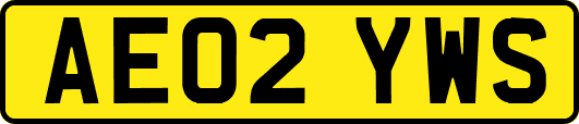 AE02YWS