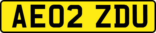 AE02ZDU