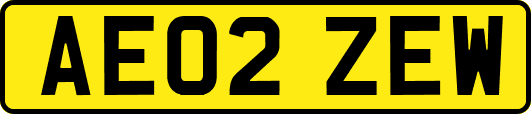 AE02ZEW