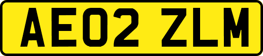 AE02ZLM