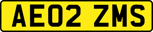 AE02ZMS