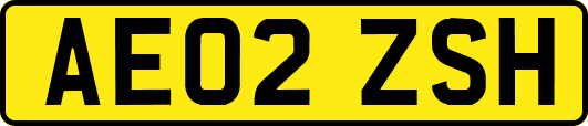 AE02ZSH