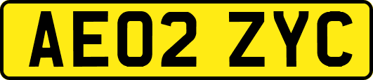 AE02ZYC