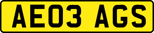 AE03AGS