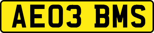AE03BMS