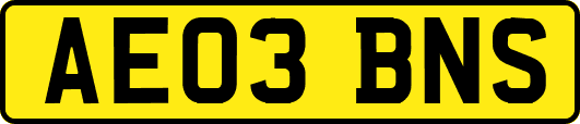 AE03BNS