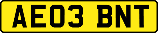 AE03BNT