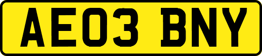 AE03BNY