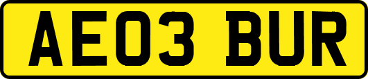 AE03BUR