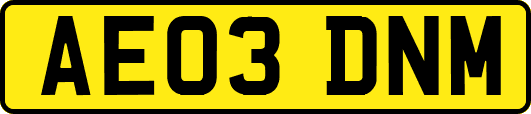 AE03DNM