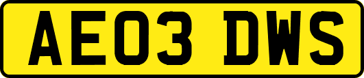 AE03DWS