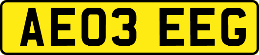AE03EEG